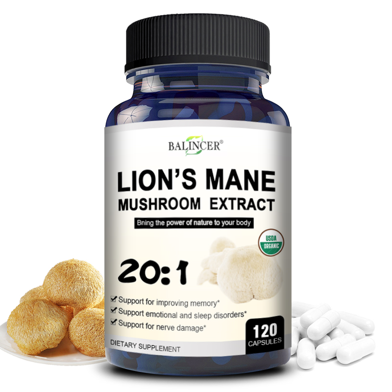 Lion Mane Mushroom - Lion's Crane: memoria cerebral nootrópica y