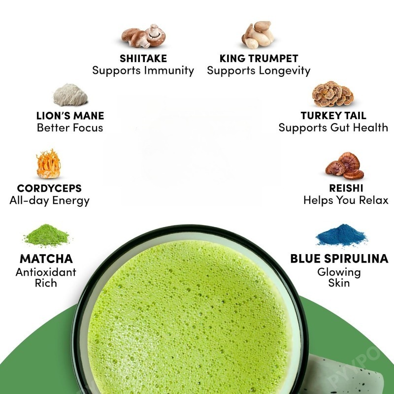 Suplemento Orgánico de Matcha  - Lion Mane Mushroom reseña y precio