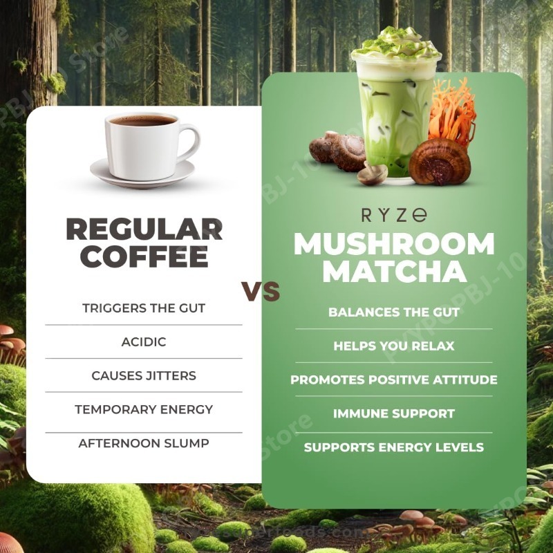 Suplemento Orgánico de Matcha  - Lion Mane Mushroom reseña y precio