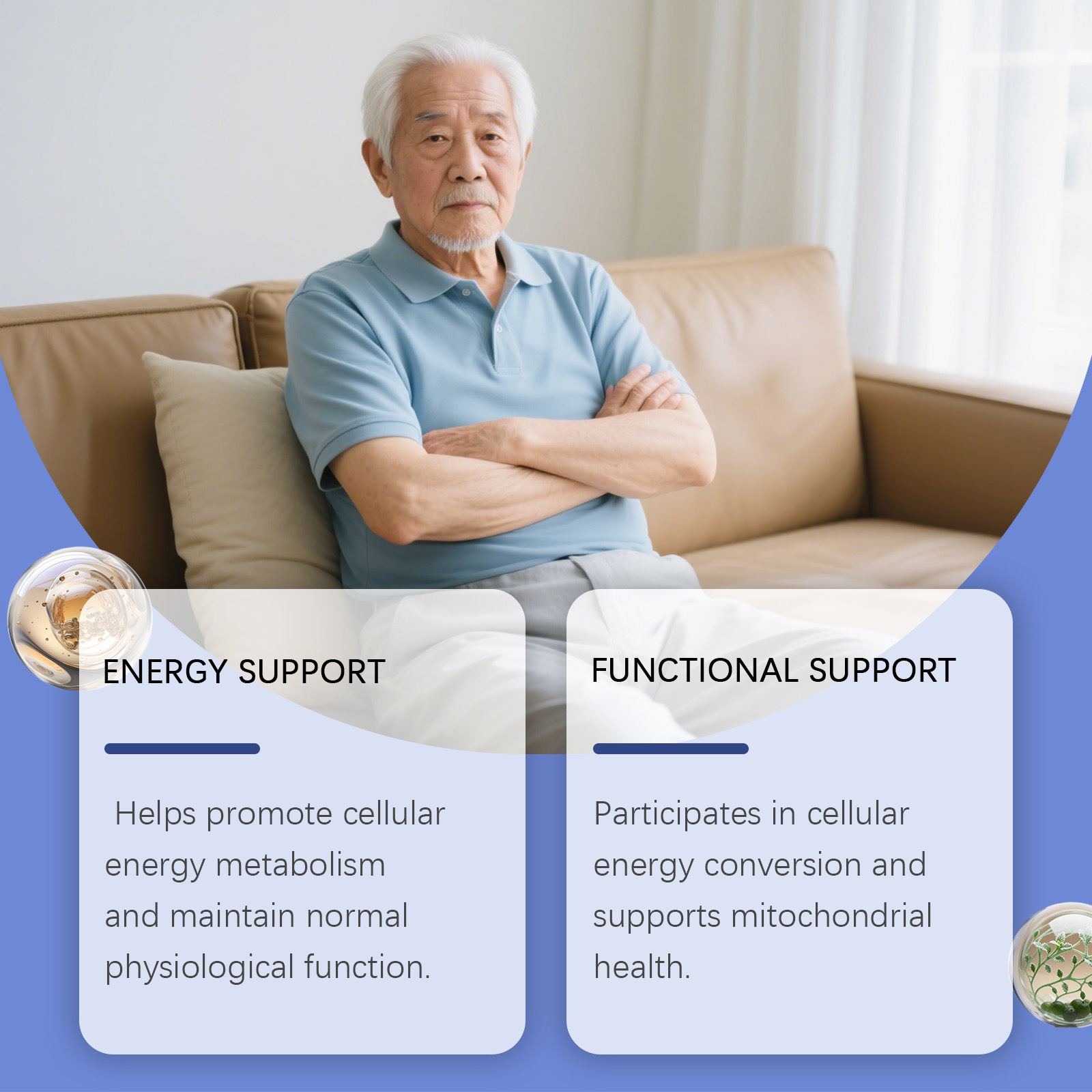 Gotas para Mejorar la Vitalida - Nutrition Physical Fitness reseña y precio