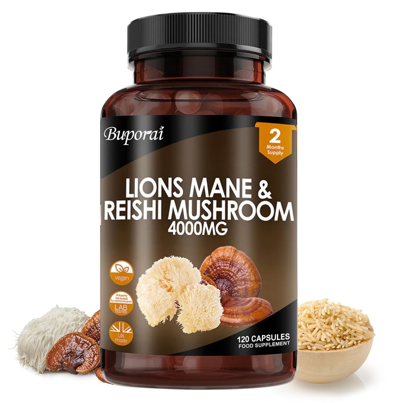 Lions Mane & Reishi Mushroom 4 - Lion Mane Mushroom reseña y precio