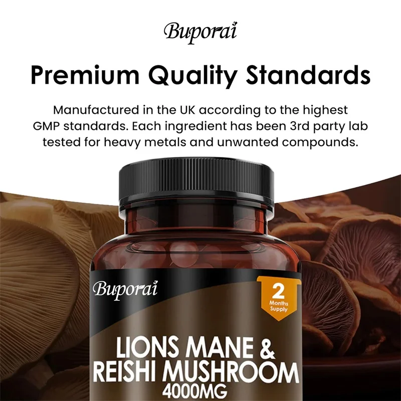 Lions Mane & Reishi Mushroom 4 - Lion Mane Mushroom reseña y precio