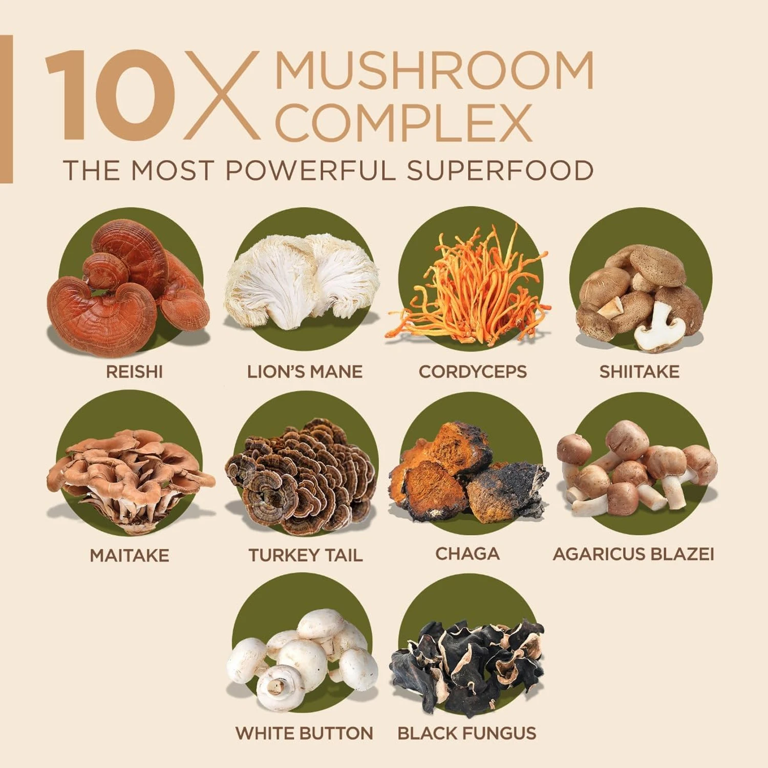 10x Cápsulas de Complejo de Ho - Lion Mane Mushroom reseña y precio
