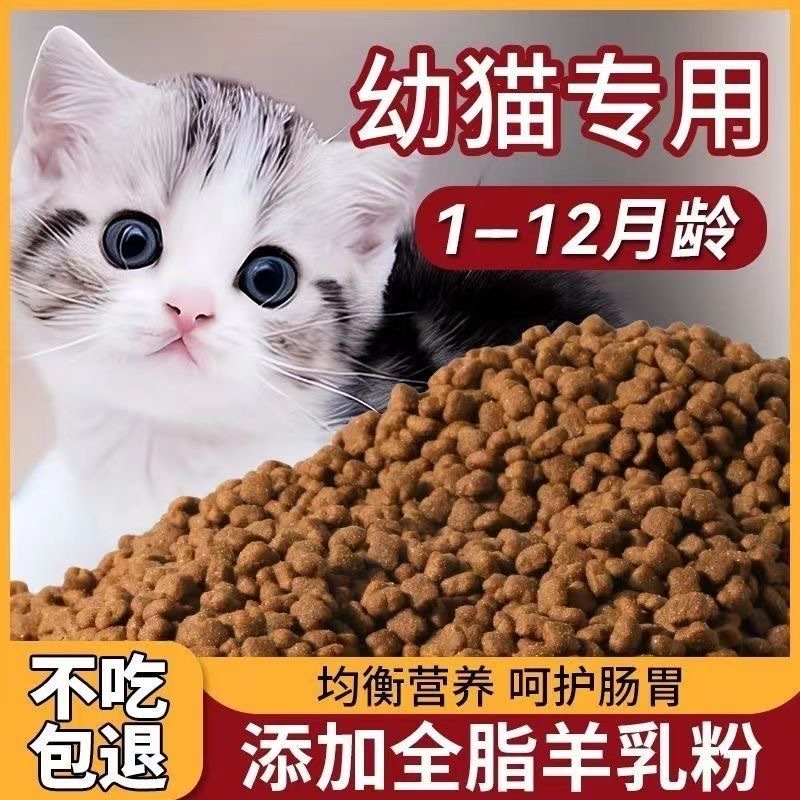 Alimento para gatitos de carne - Nutrition Physical Fitness reseña y precio
