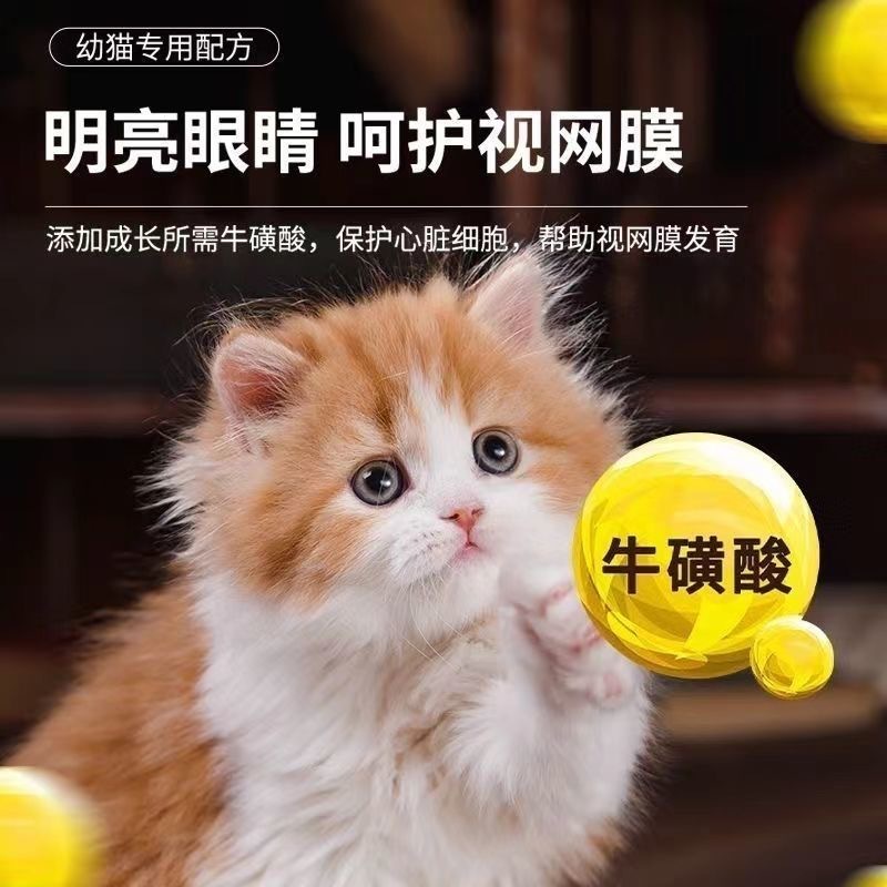 Alimento para gatitos de carne - Nutrition Physical Fitness reseña y precio