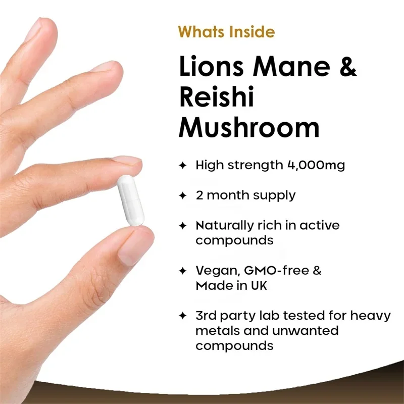 Melena de León y Hongo Reishi  - Lion Mane Mushroom reseña y precio