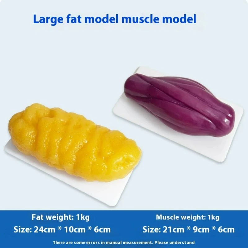 Réplicas de Músculo y Grasa Hu - Nutrition In Fitness reseña y precio