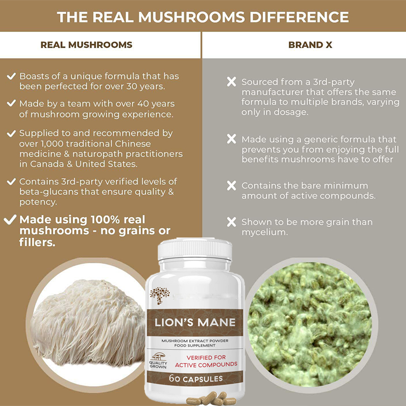 Las cápsulas de hongos Ganoder - Lion Mane Mushroom reseña y precio